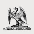 Brabazon family crest, coat of arms