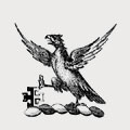 Chad family crest, coat of arms