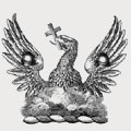 Footner family crest, coat of arms