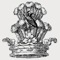 Borlase family crest, coat of arms