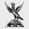Clogstoun family crest, coat of arms