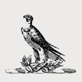 Shum-Storey family crest, coat of arms