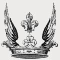 Wolff family crest, coat of arms