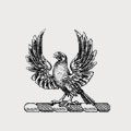 Bassett family crest, coat of arms
