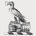 Stock family crest, coat of arms