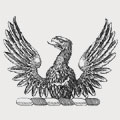 Aidgmam family crest, coat of arms