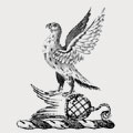 Weare family crest, coat of arms