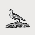Henn family crest, coat of arms