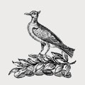 Foscott family crest, coat of arms