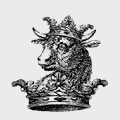 Bassingborne family crest, coat of arms