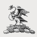 Leeves family crest, coat of arms