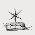 Raspér family crest, coat of arms