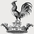 Coppin family crest, coat of arms