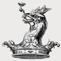 Branch family crest, coat of arms