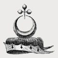 Doolan family crest, coat of arms