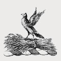 Silverthorn family crest, coat of arms