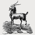 Ryan family crest, coat of arms