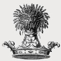 Lingen family crest, coat of arms