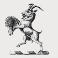 Burkett family crest, coat of arms