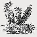 Braye family crest, coat of arms