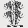 Warner family crest, coat of arms