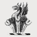 Wye family crest, coat of arms