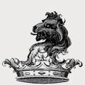 Shanke family crest, coat of arms