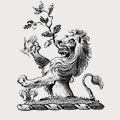 Munyard family crest, coat of arms