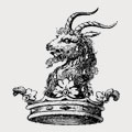 Ives family crest, coat of arms