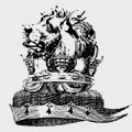 Lyons family crest, coat of arms