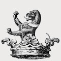 Skinner family crest, coat of arms