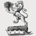 O'morchoe family crest, coat of arms