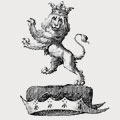 Nassau family crest, coat of arms