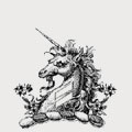 Hunnis family crest, coat of arms