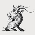 Bunny family crest, coat of arms