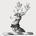 Cottington family crest, coat of arms