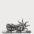 Millais family crest, coat of arms
