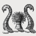 Vafiadacchi-Schilizzi family crest, coat of arms