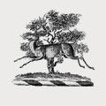 Buckner family crest, coat of arms