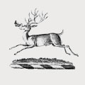 Kesteven family crest, coat of arms