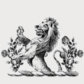 Soltau family crest, coat of arms