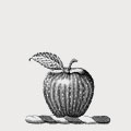 Appleby family crest, coat of arms