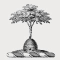 Nunn family crest, coat of arms