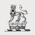 Cambridge family crest, coat of arms