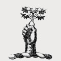 Irton family crest, coat of arms