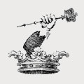 Stokes family crest, coat of arms