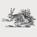Hase family crest, coat of arms