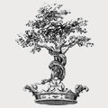 O'reilly family crest, coat of arms