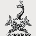 Conduitt family crest, coat of arms