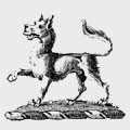 Bracebridge family crest, coat of arms